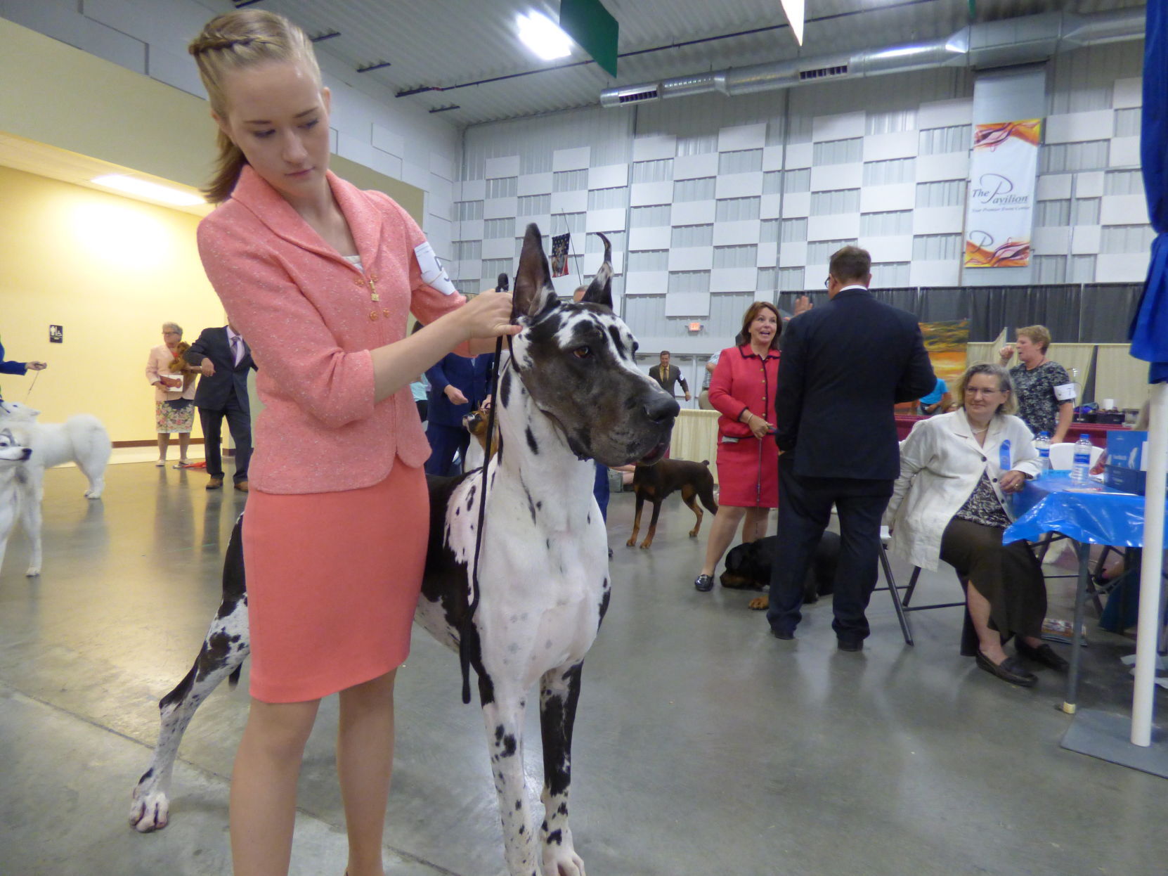 080718-nws-dog-show